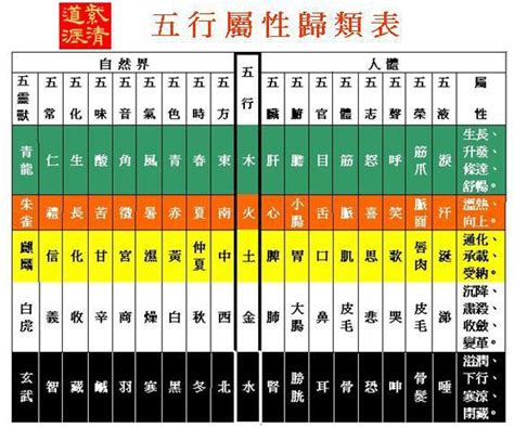 屬五行|十二生肖五行屬性對照表